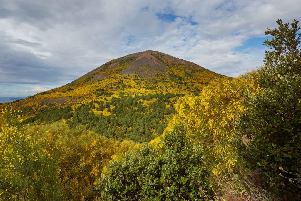 Il Ginestreto | Parco Nazionale del Vesuvio